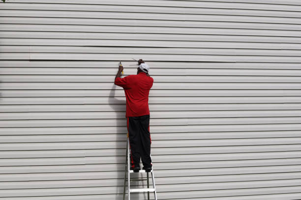 Best Stucco Siding  in Postville, IA