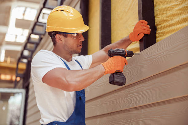 Best Stone Veneer Siding  in Postville, IA
